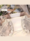 French Lace Briefs