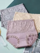 High Waisted Lace Briefs