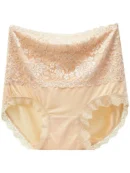 Skin Colour High Waisted Lace Briefs