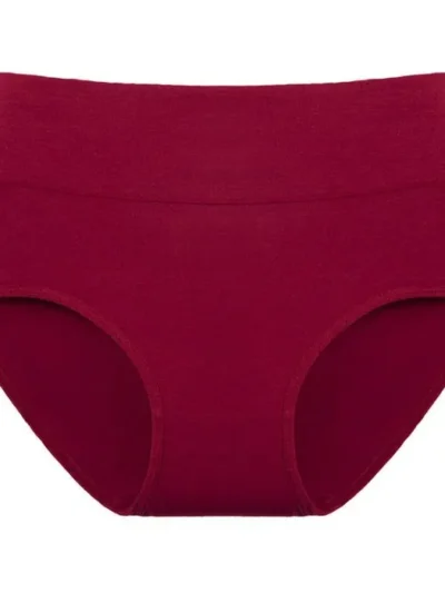 Wine Red High Waisted Cotton Briefs